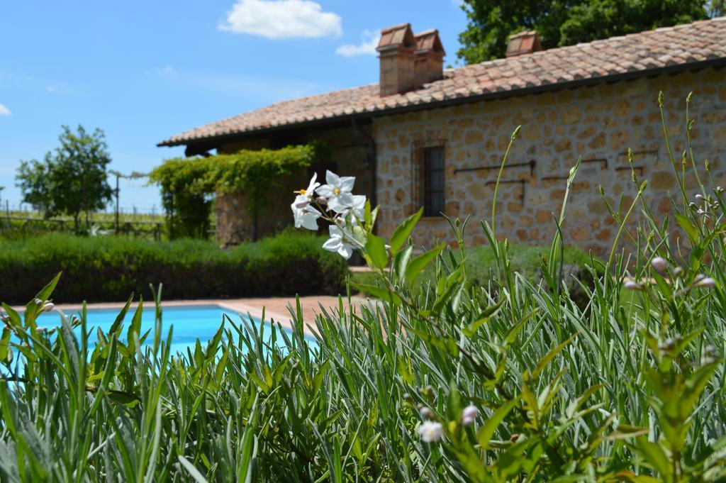 Agriturismo Eco-Bio Villa Vacasio Pitigliano Luaran gambar