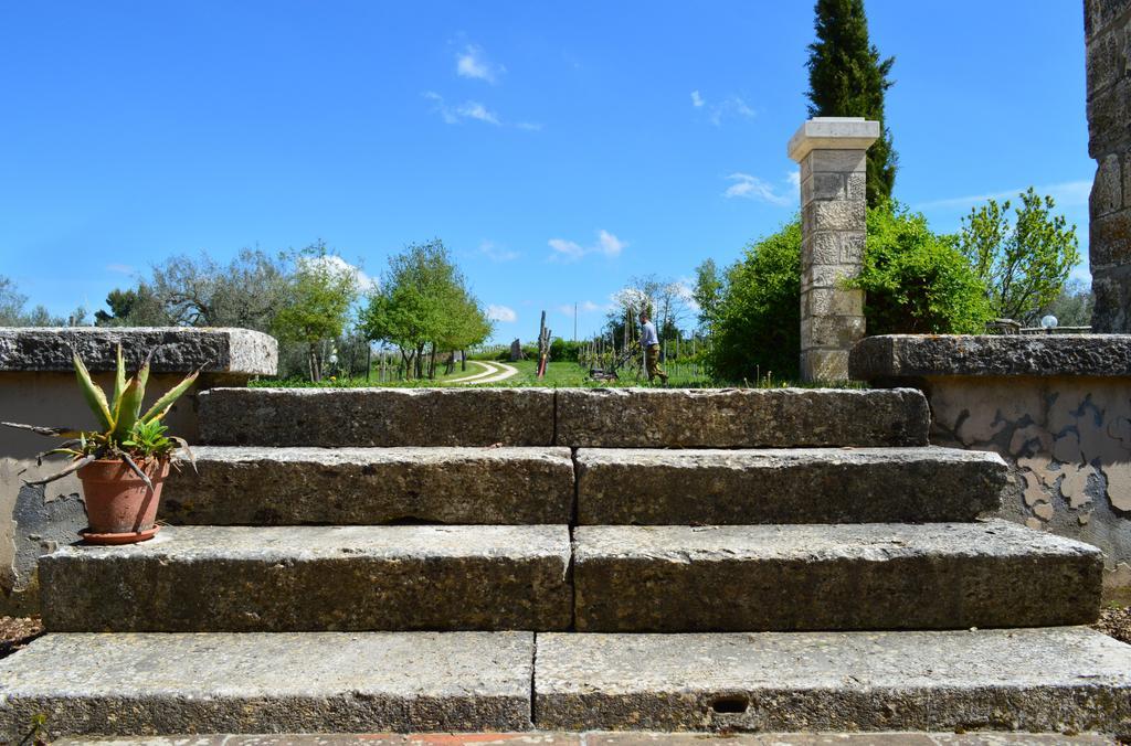 Agriturismo Eco-Bio Villa Vacasio Pitigliano Luaran gambar