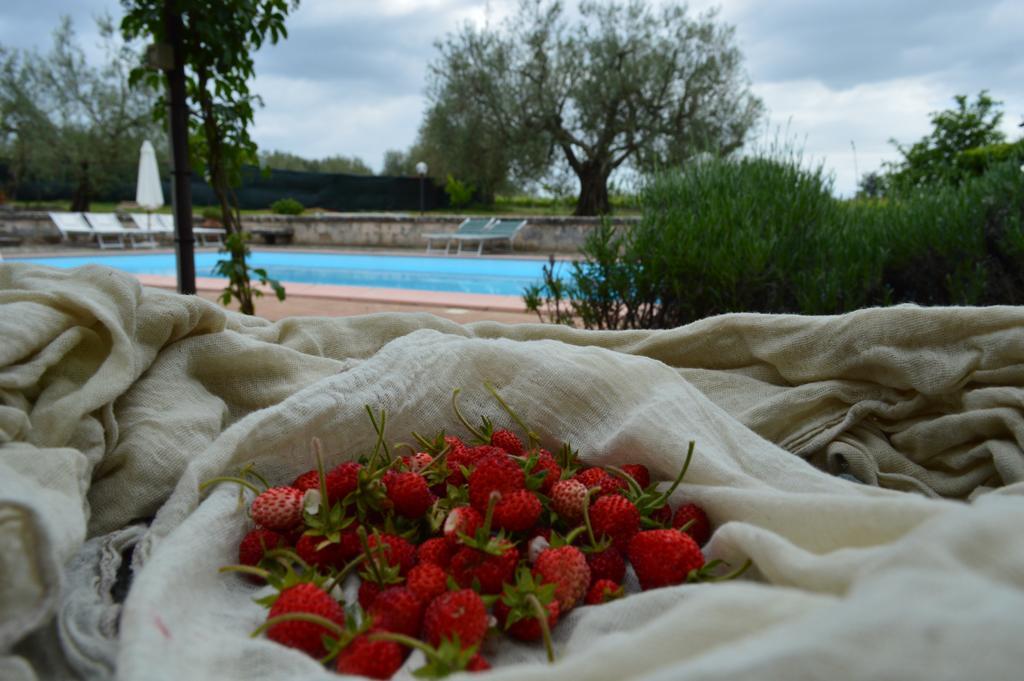 Agriturismo Eco-Bio Villa Vacasio Pitigliano Luaran gambar