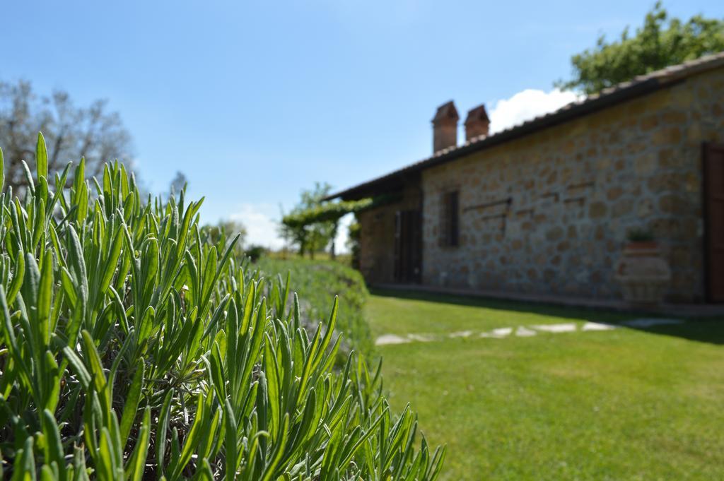 Agriturismo Eco-Bio Villa Vacasio Pitigliano Luaran gambar